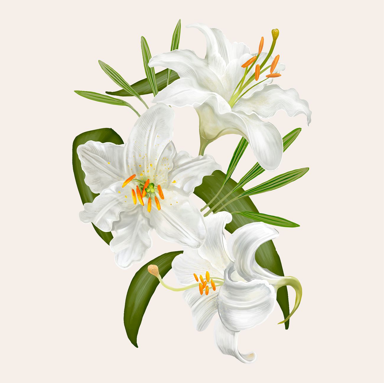 Three Lilies Birth Care